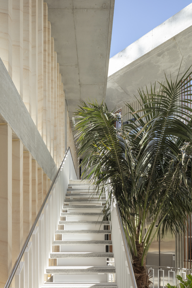 Foamcrest 公寓丨澳大利亚悉尼丨Richard Cole Architecture-34