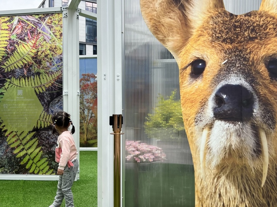 雨花快闪公园丨中国南京丨苏邑设计集团-63