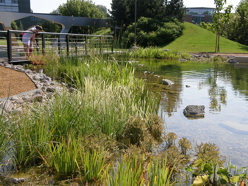 布达佩斯 Graphisoft 公园景观设计丨匈牙利布达佩斯-16