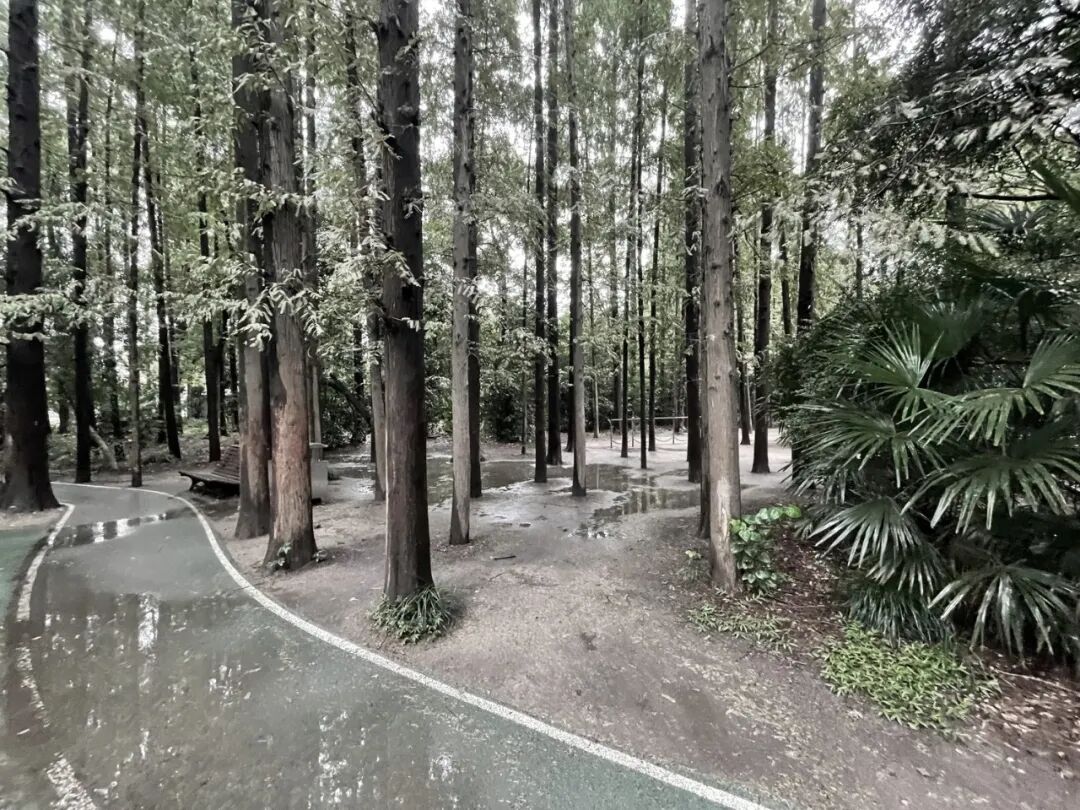 中国园林·理事专栏|“拓”之力量：杨浦公园改造纪实(三)-200