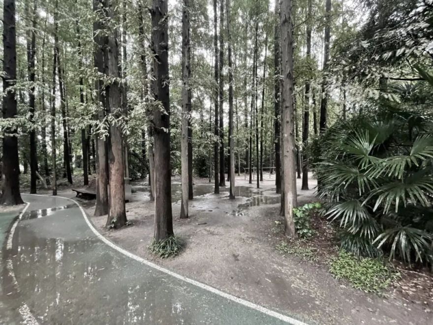 中国园林·理事专栏|“拓”之力量:杨浦公园改造纪实(三)-200