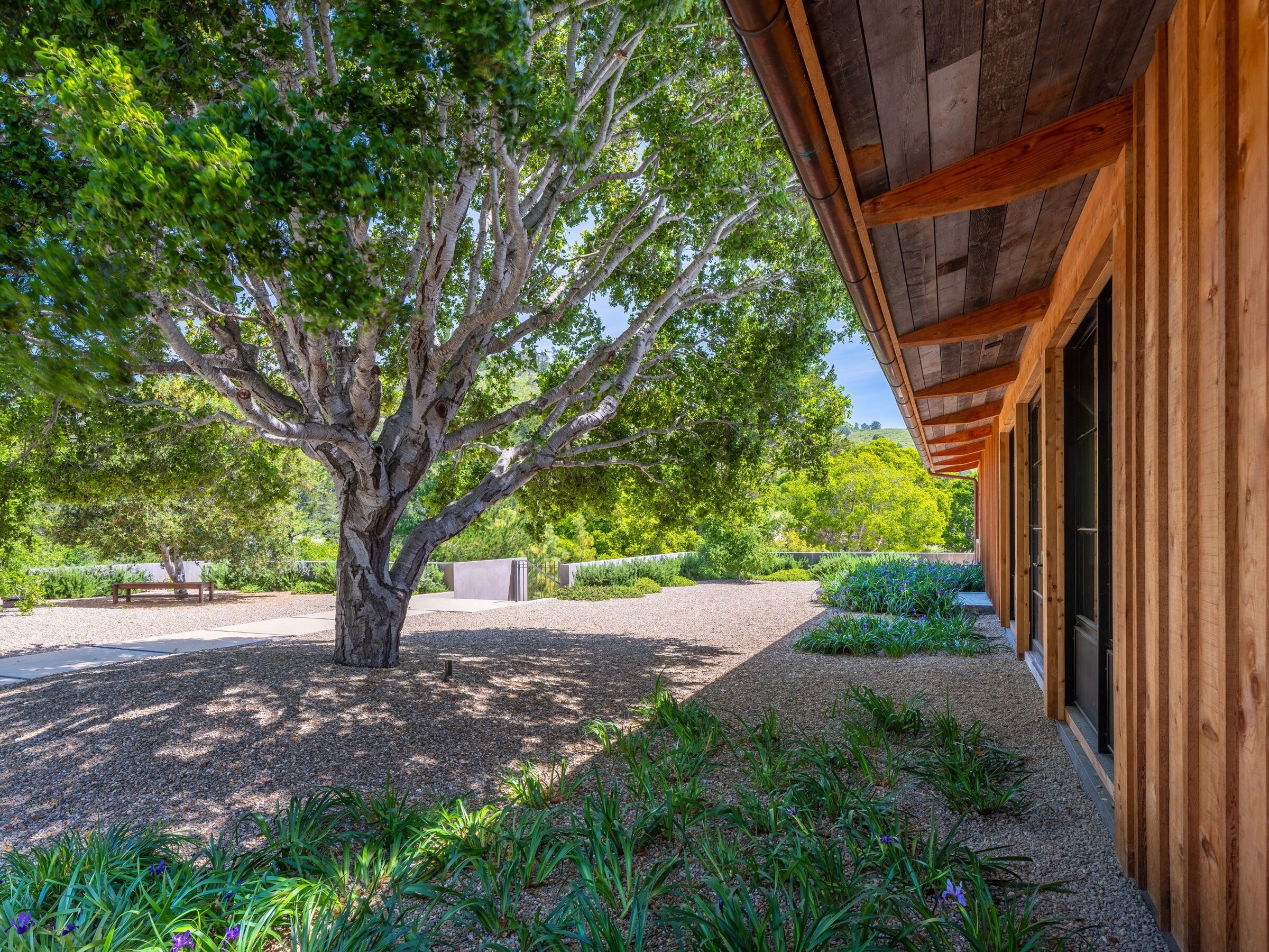 加州卡梅尔谷地零能耗现代别墅-18