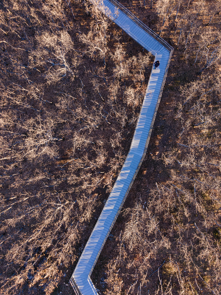 Peñas Llanas 观景台改造丨西班牙卡斯蒂利亚丨Lopez Lopez-42