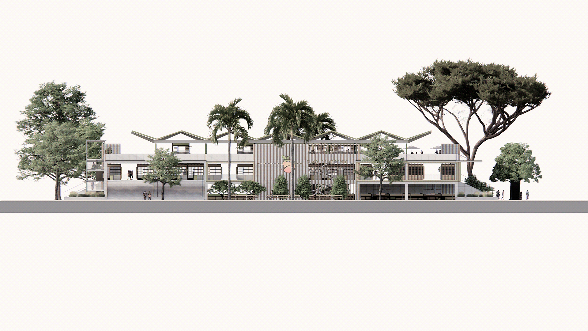 Acacia - farmers market-19