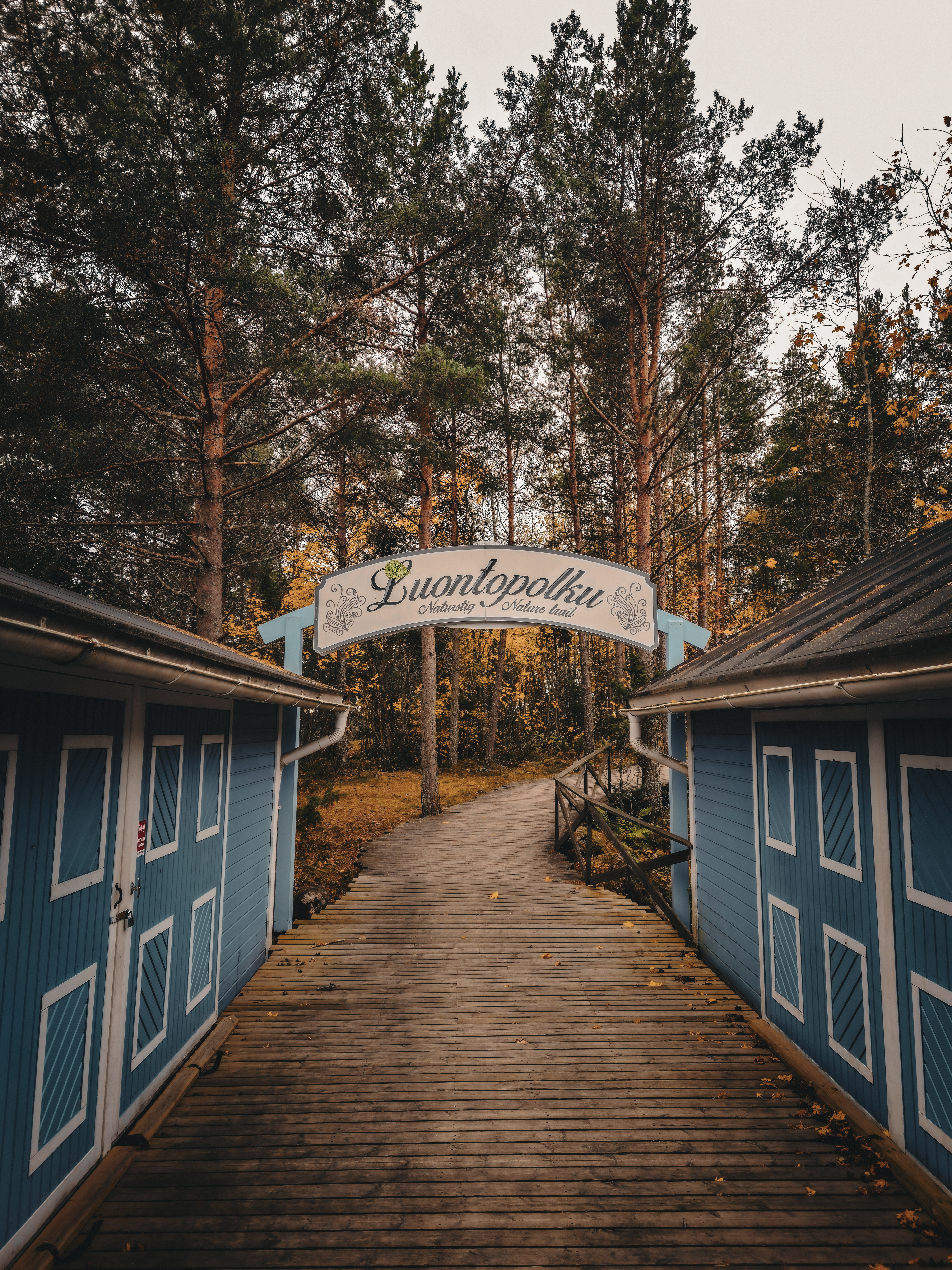 Finland-4