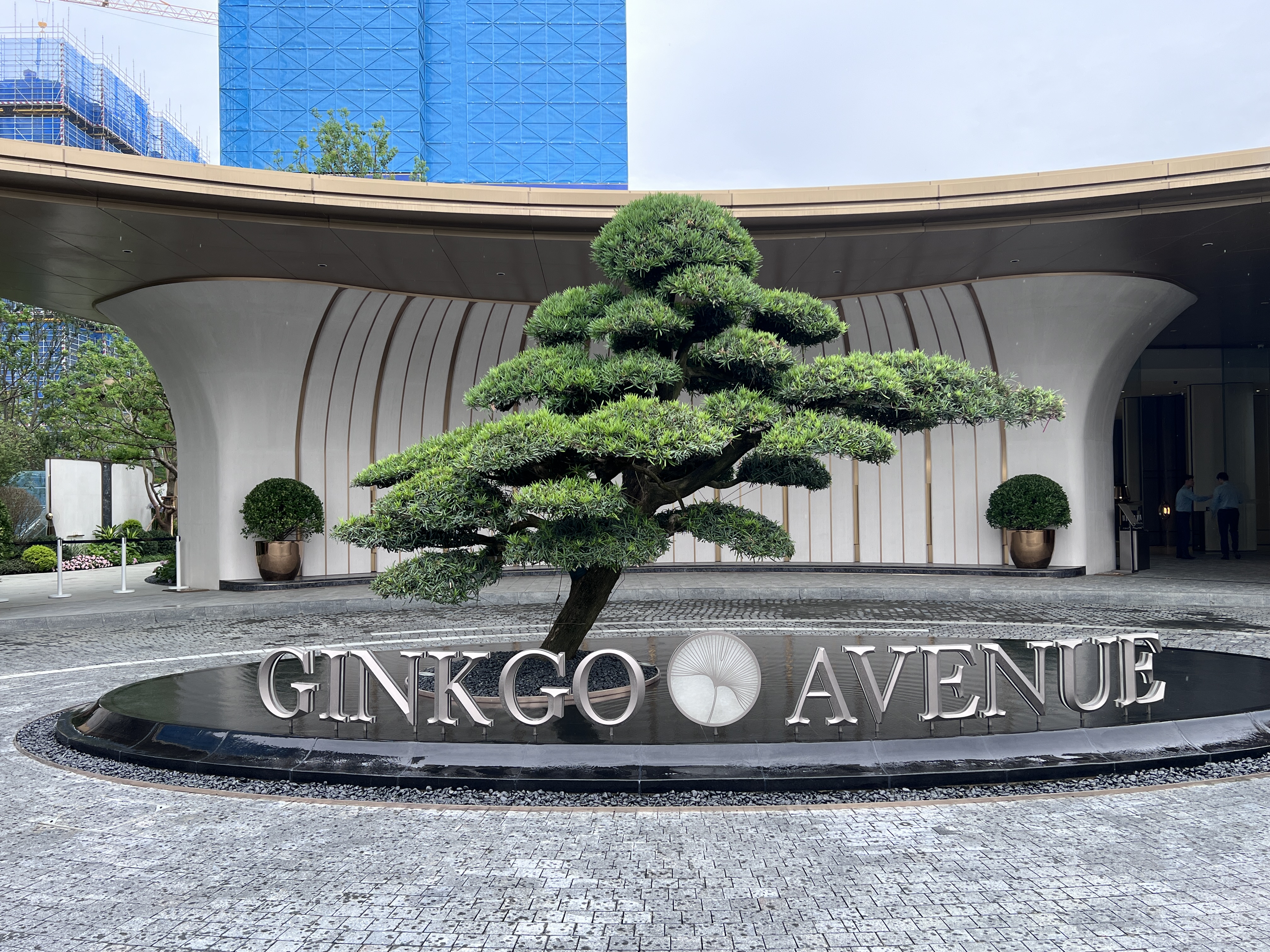 成都仁和春天银杏大道-1