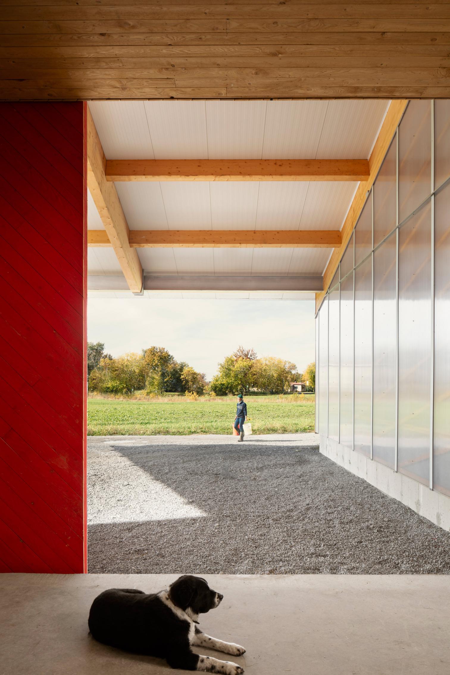 融入自然的奶牛棚设计-13