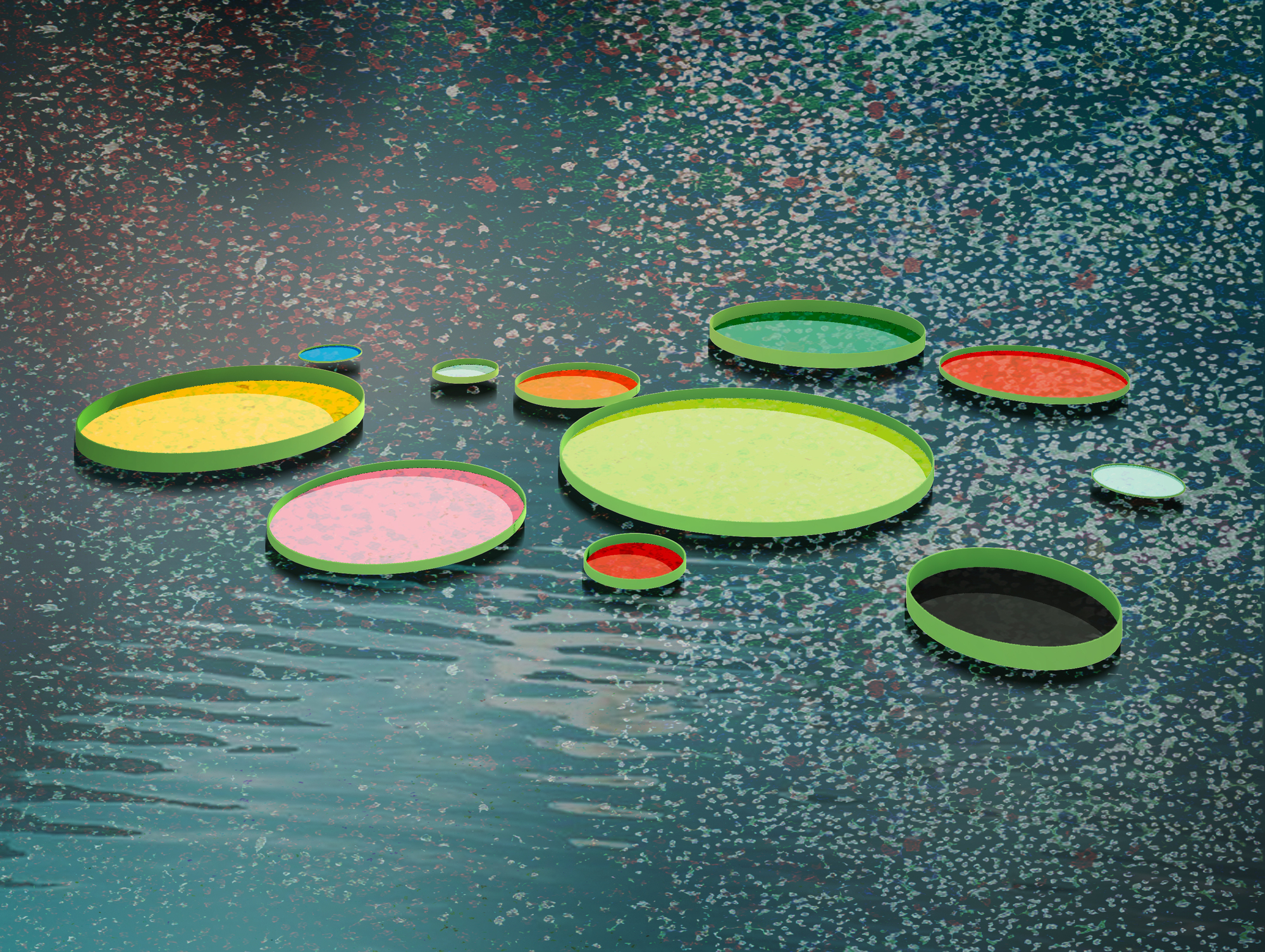 百合项目丨美国丨Jaemee Studio-22