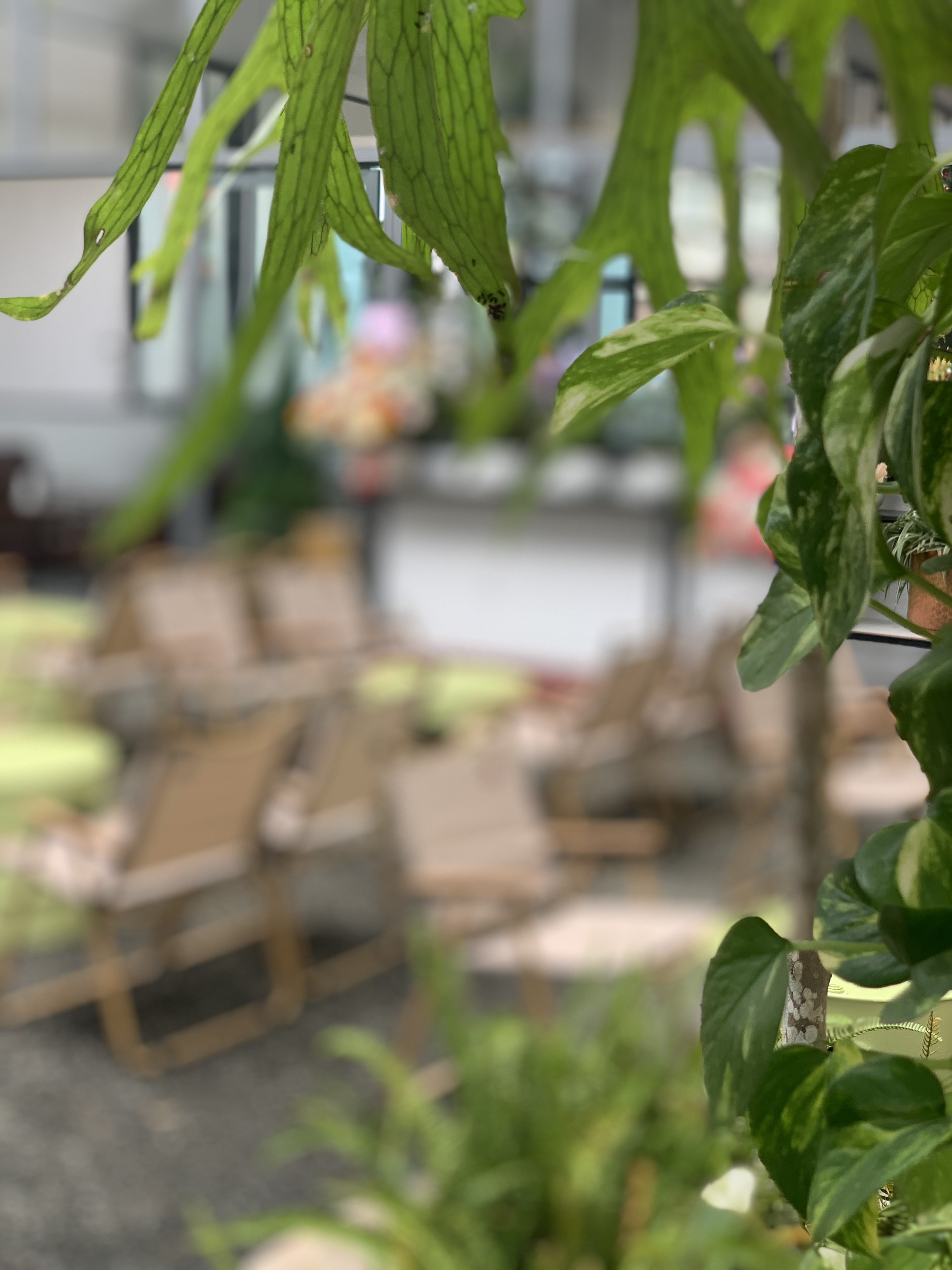 KOPIC SPECIALTY COFFEE EXTERIOR-11