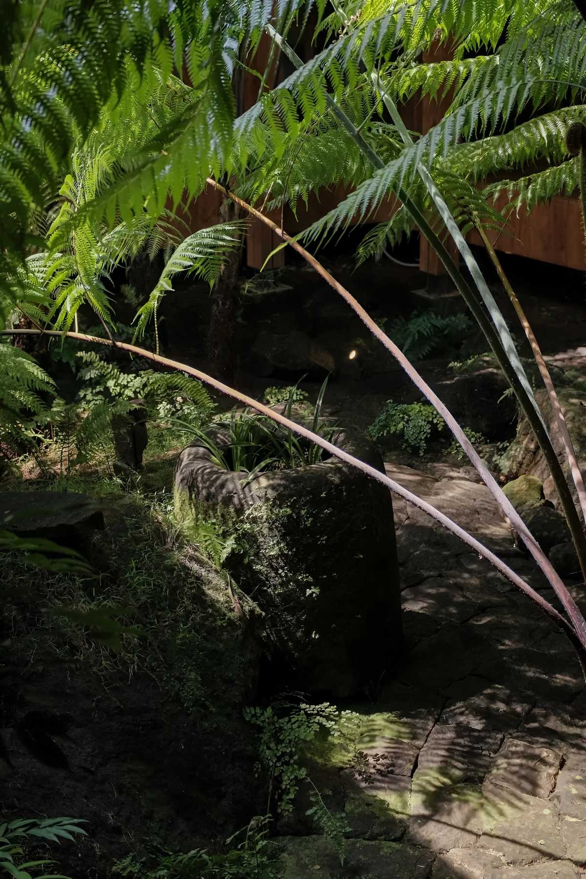 巴厘岛靛染艺术家夫妇 Tian Taru 私宅丨印度尼西亚巴厘丨Conchita Blanco-57