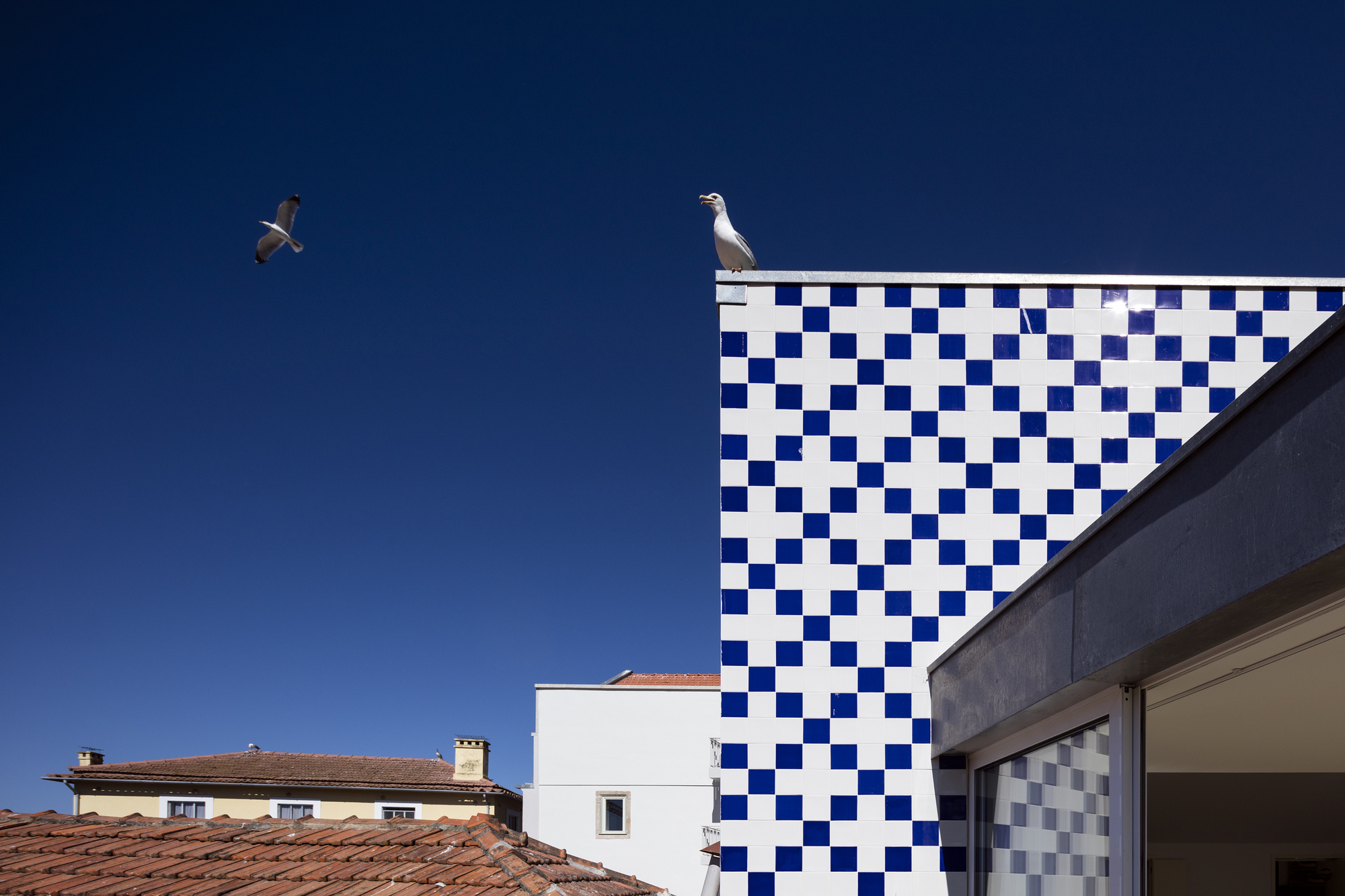 葡萄牙波尔图 Monte dos Judeus 74 公寓修复项目——新旧融合的魅力-13