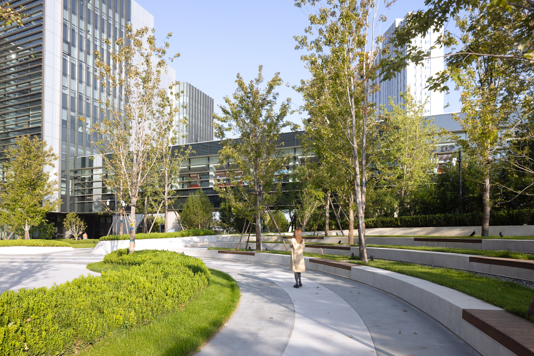 阿里巴巴北京朝阳科技园景观设计丨中国北京丨阿普贝思UP+S-1
