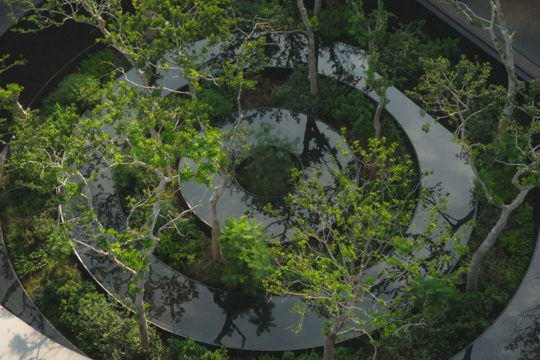 长沙松湖天地隐秀丨中国长沙丨TROP:terrains +open space-33