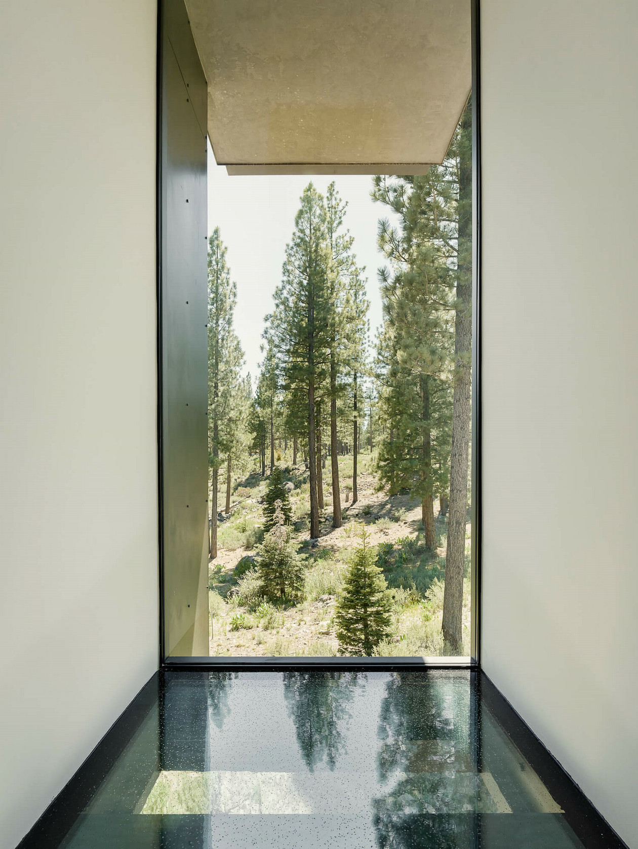 美国加利福尼亚州特拉基溪屋-11