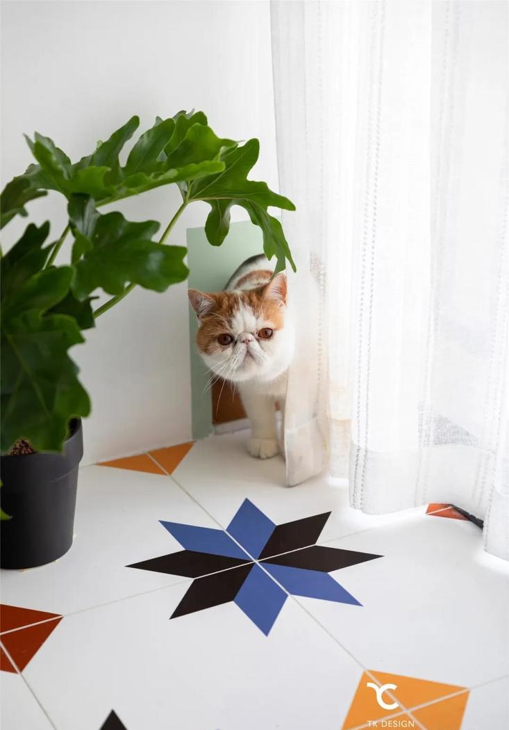 小户型逆袭,猫奴一家三口的幸福宅-0