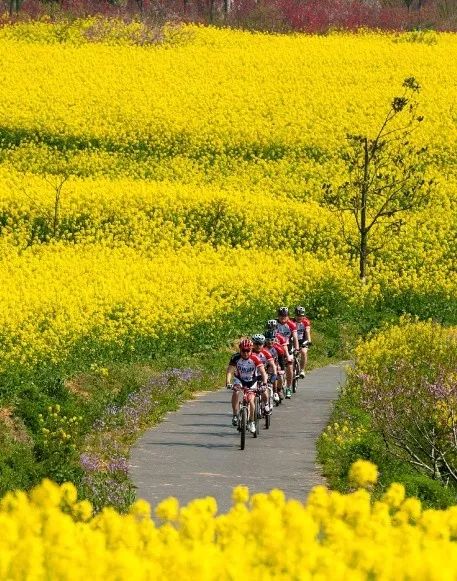 穿过喧嚣 走进时光·来高淳东坝看美丽乡村-70