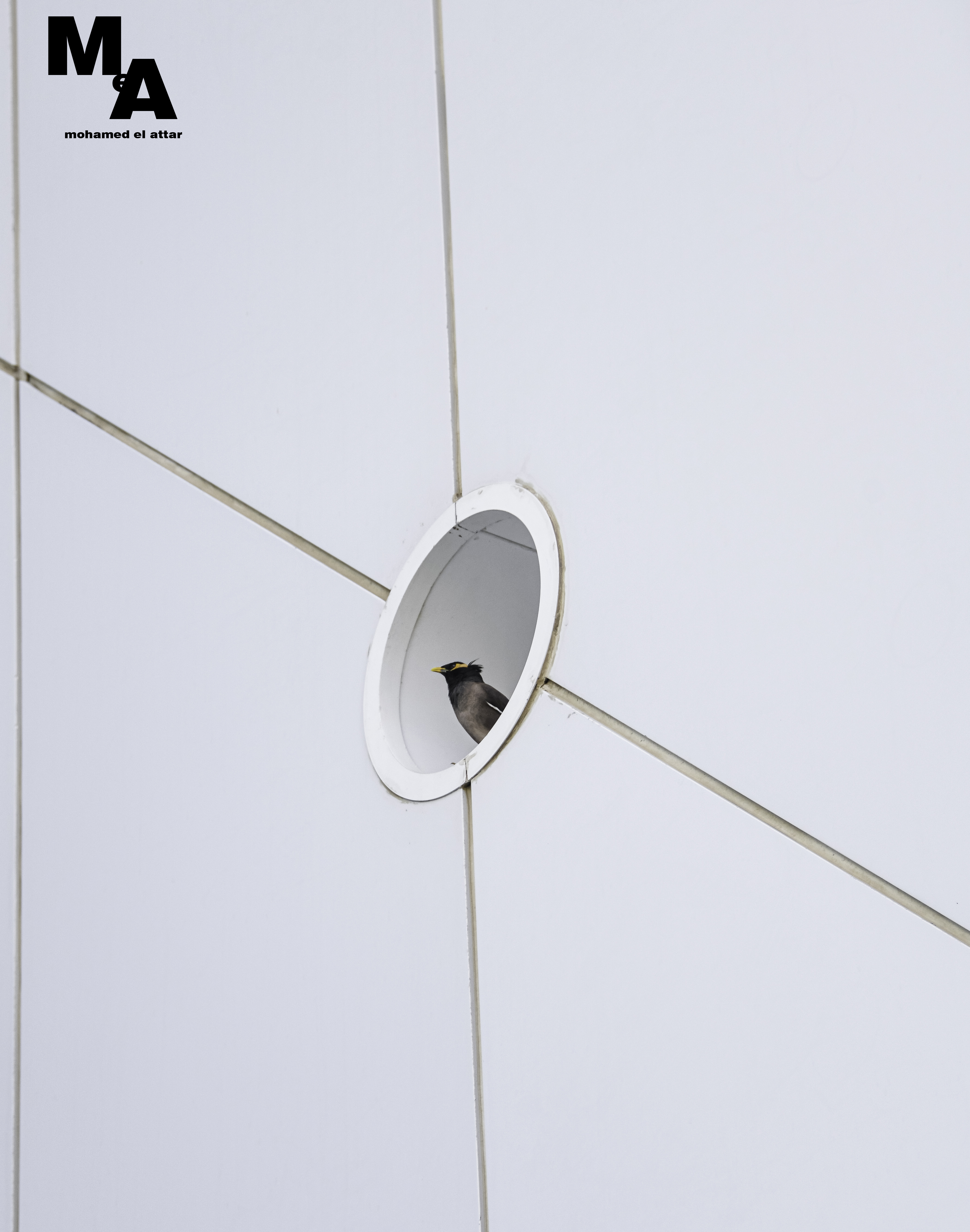 The Green Planet Dubai-17