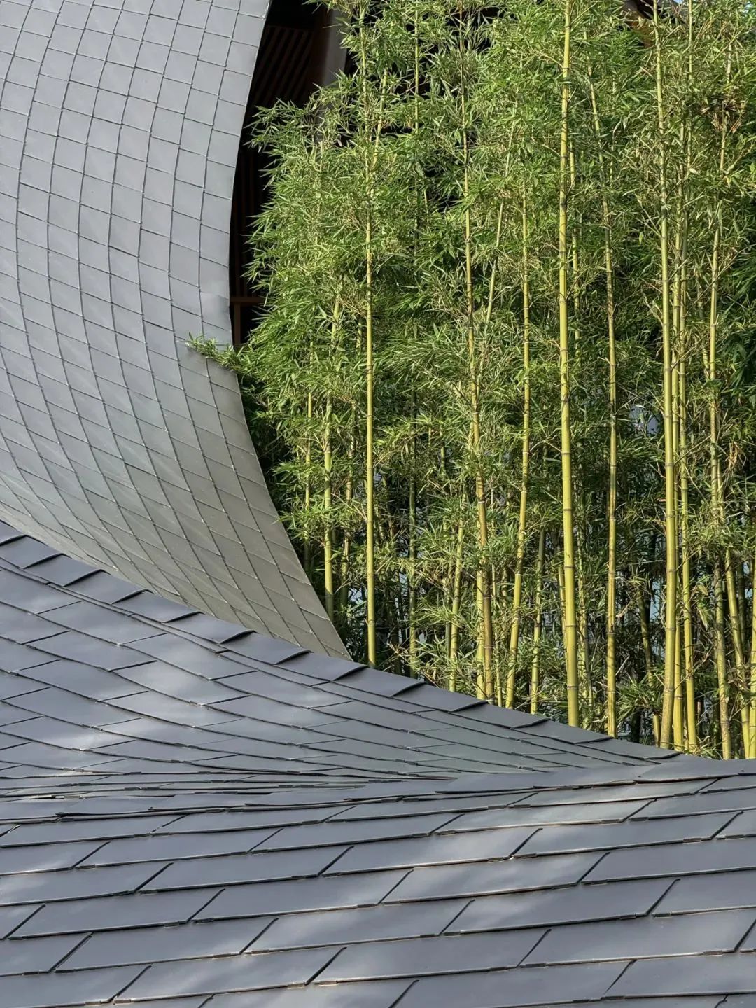 “龙脊”  地中海黑龙滩度假酒店丨中国眉山丨AIM（恺慕）建筑设计等多家-19