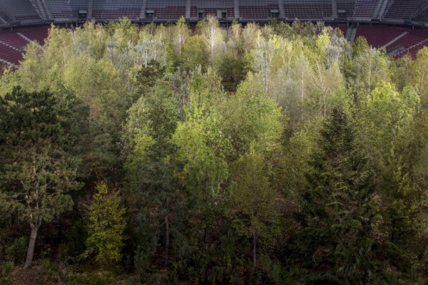 Architectour.net - For Forest [ The Unending Attraction of Nature ]-35