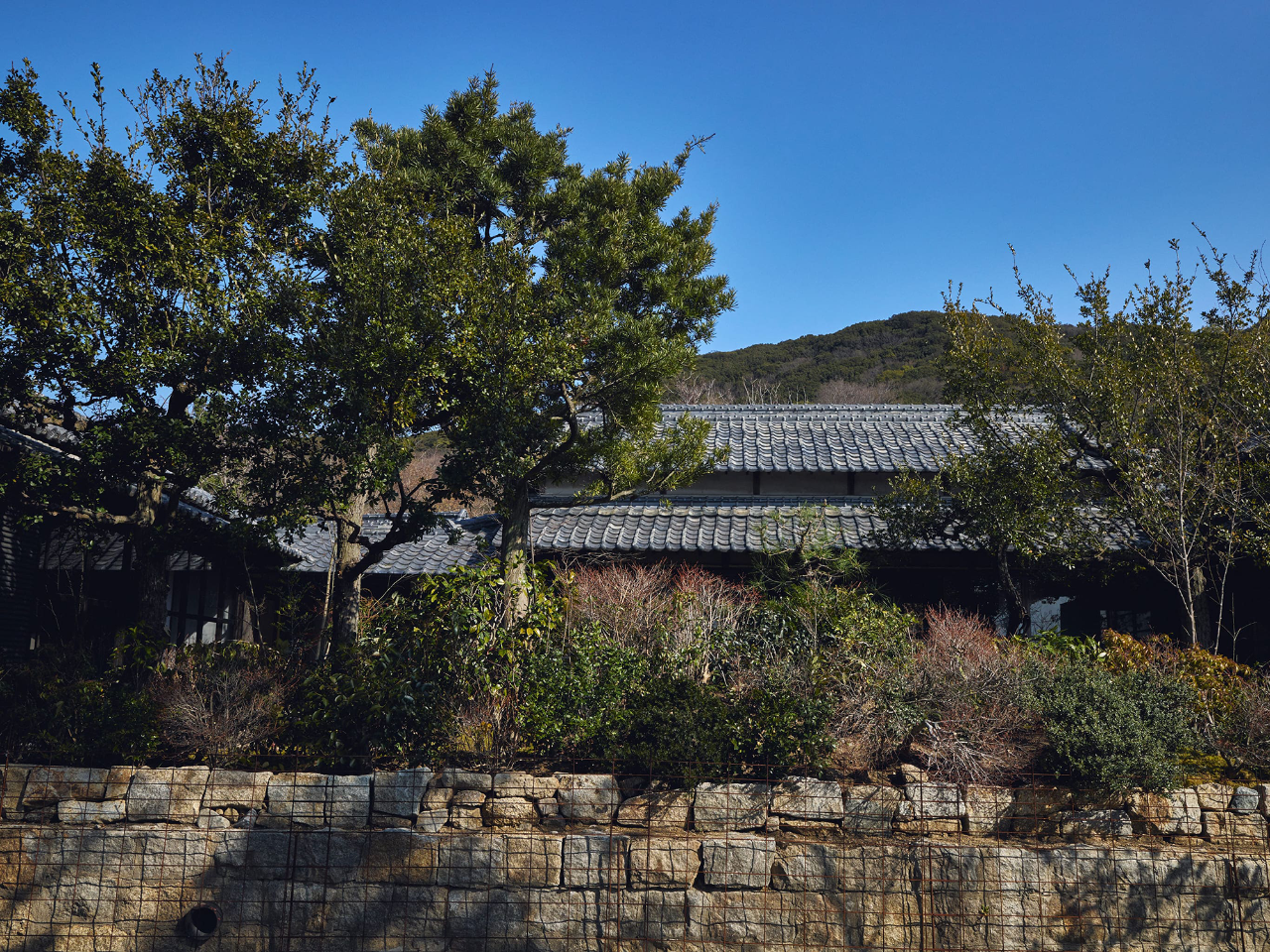 本岛避难所丨日本丨Makoto Yamaguchi-17