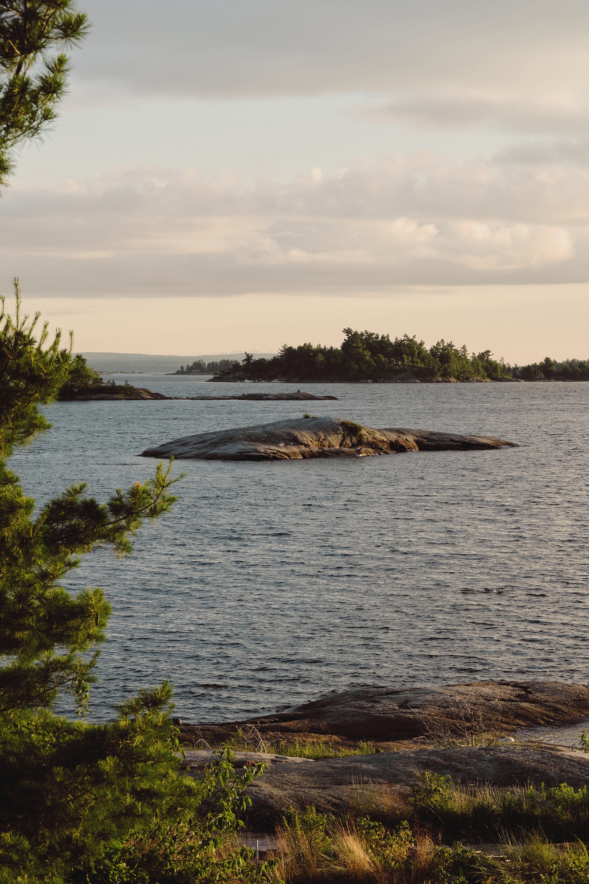 Pine Island Cottage 住宅（松岛小屋）丨加拿大丨Bureau Tempo 与 Thom Fougere Studio-30