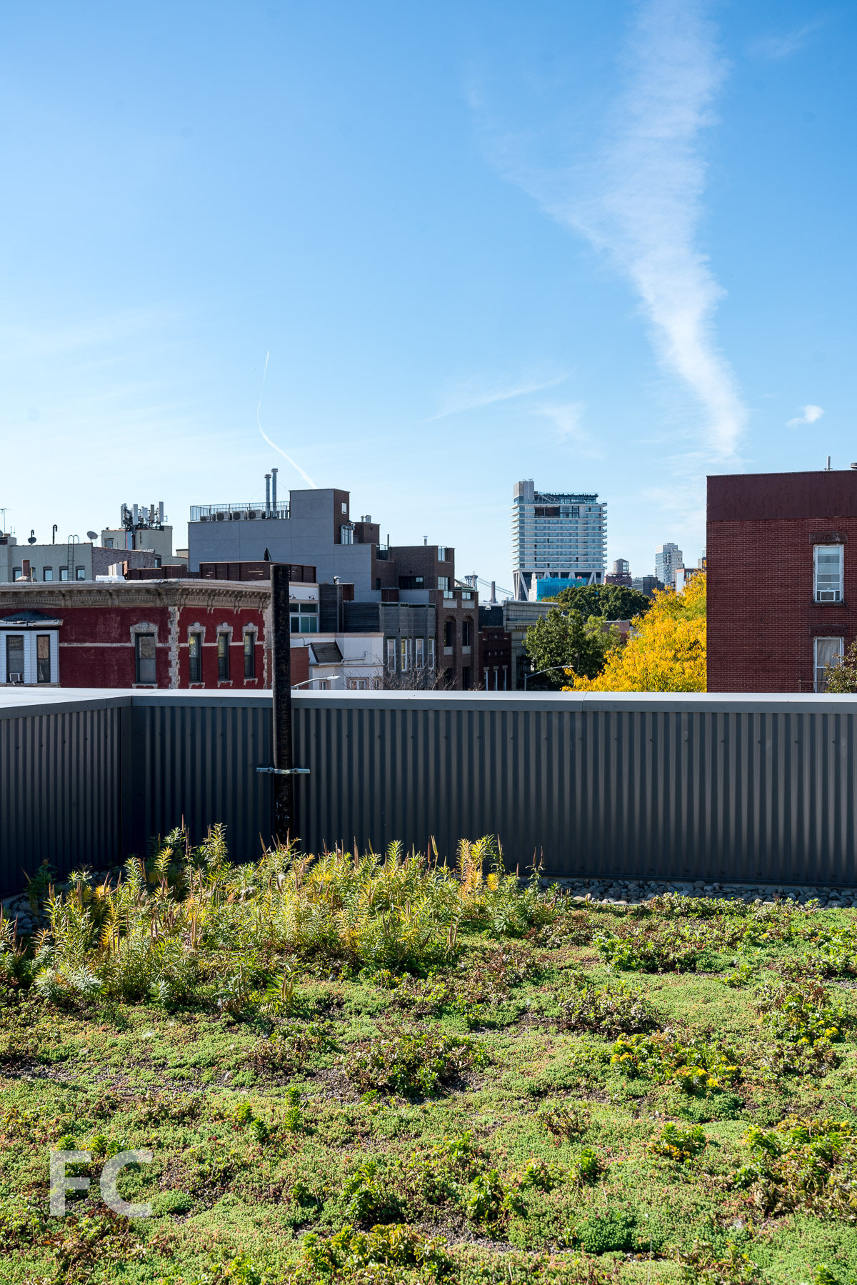 Construction Update: Greenpoint Library and Environmental Education Center — FIELD CONDITION-31