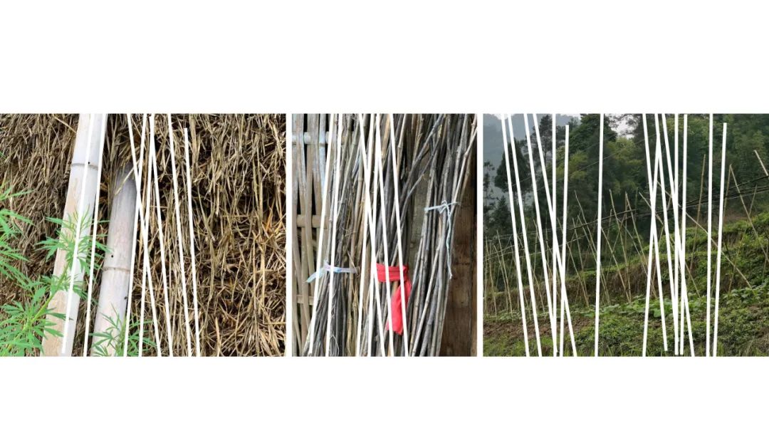 《青榭竹里》 | 即兴创作实践,重拾建筑温度-43