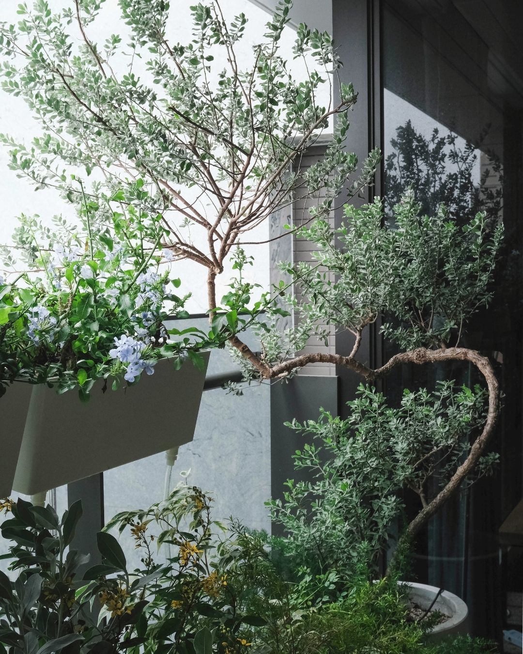 住宅案 | 文山區 | 陽台景觀設計-0