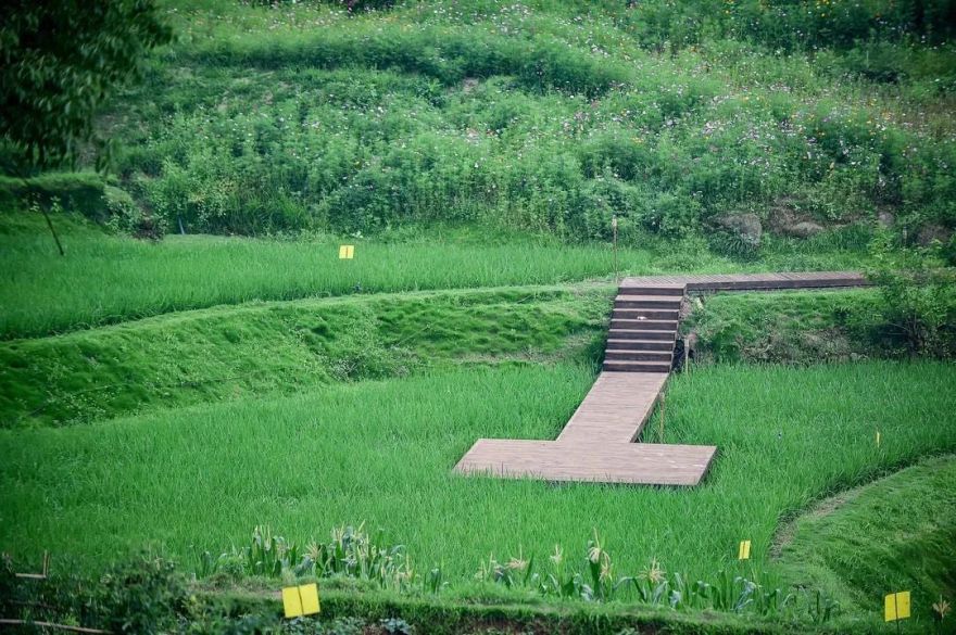 蓝城两江·田园牧歌——现代田园生活的新诠释-56