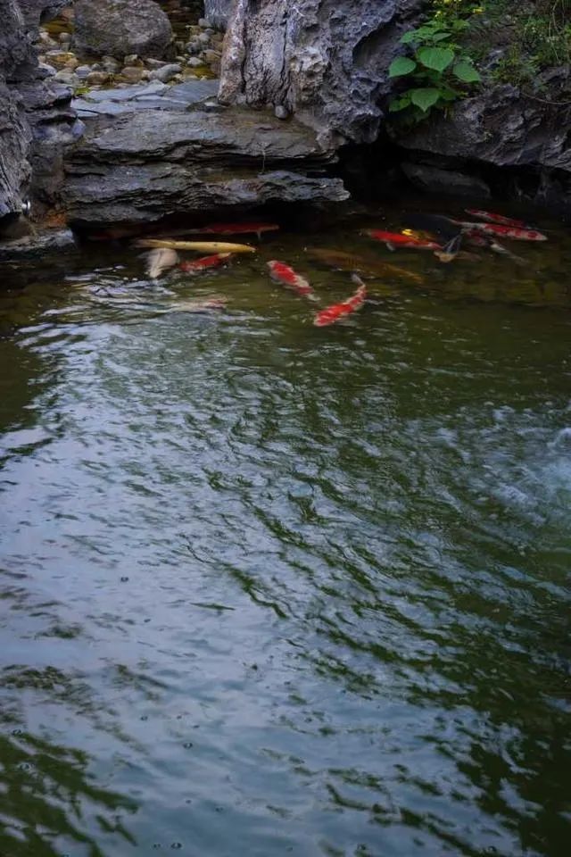 西溪·新荣记-32