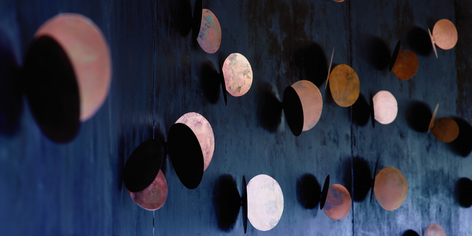 Eagle Island Botswana-3