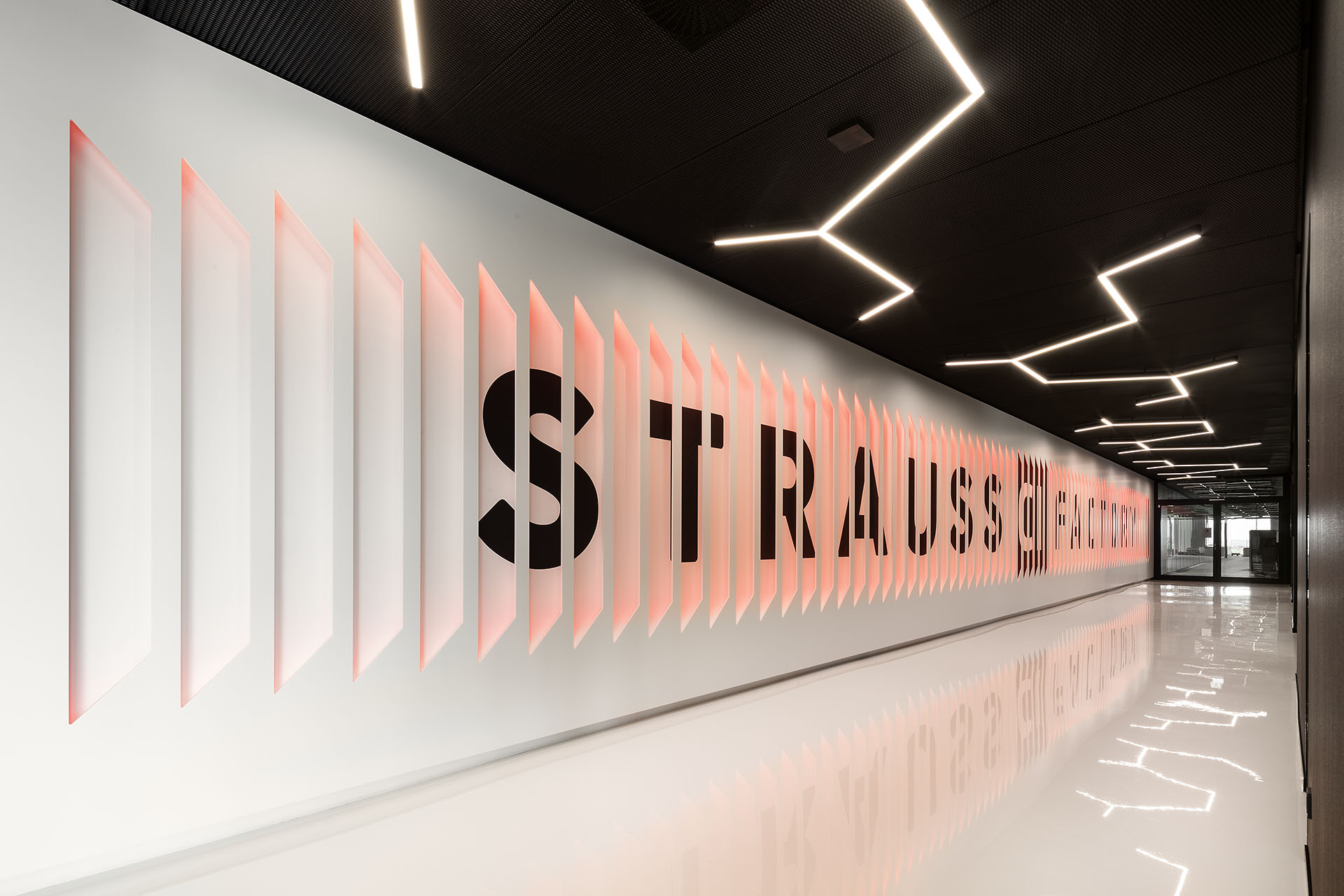 STRAUSS CI FACTORY-11