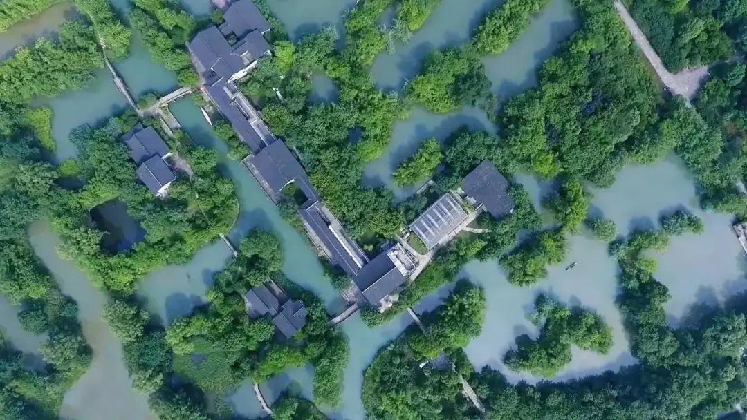 杭州西溪湿地龙舟赛丨中国杭州丨ZSD卓时-4