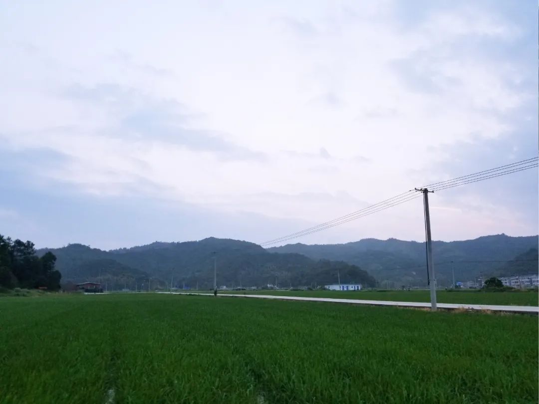 品东装饰户外团建活动 | 快乐工作,健康生活-21