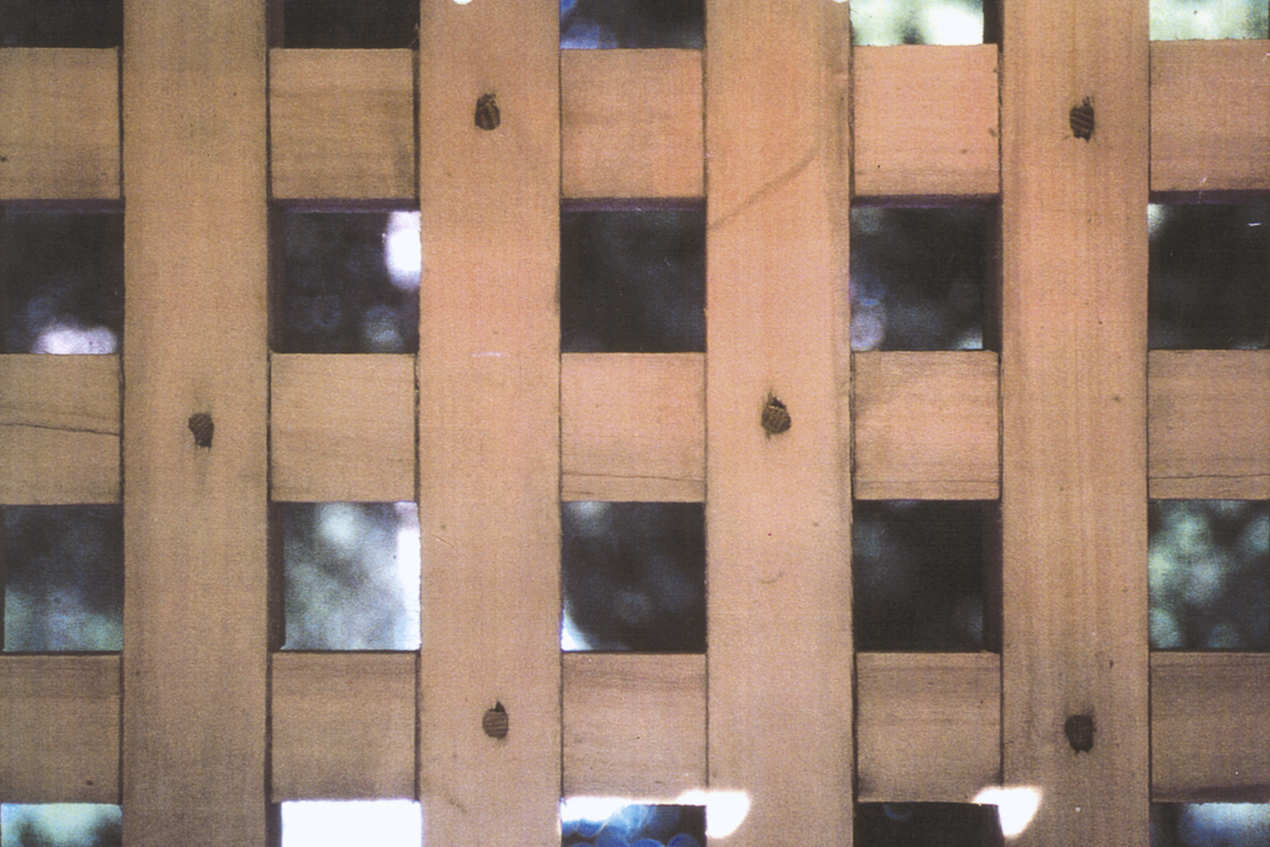 木制的荒唐建筑丨芬兰丨Rintala Eggertsson Architects-13