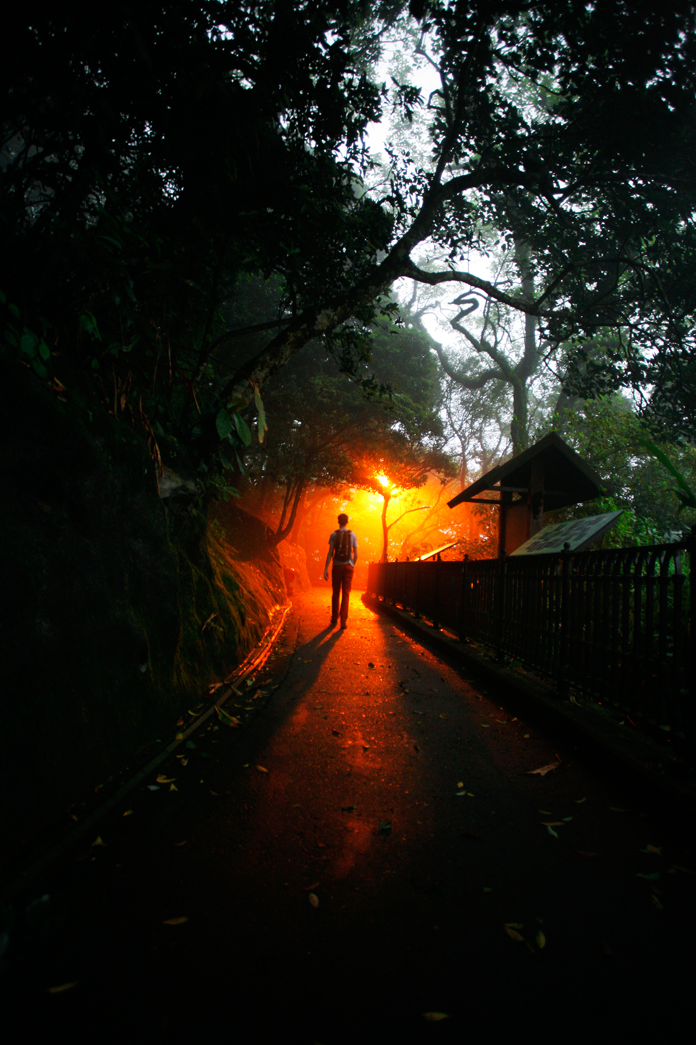 香港雨季的赛博朋克之美-11