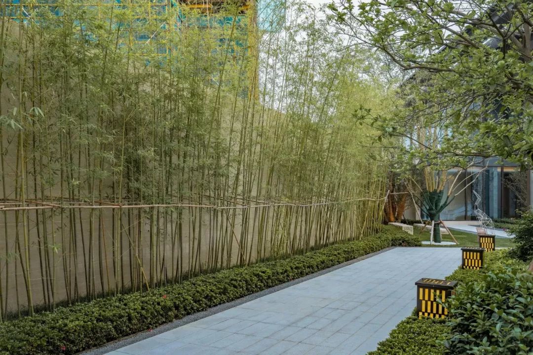 伟星·印长江丨中国芜湖-87