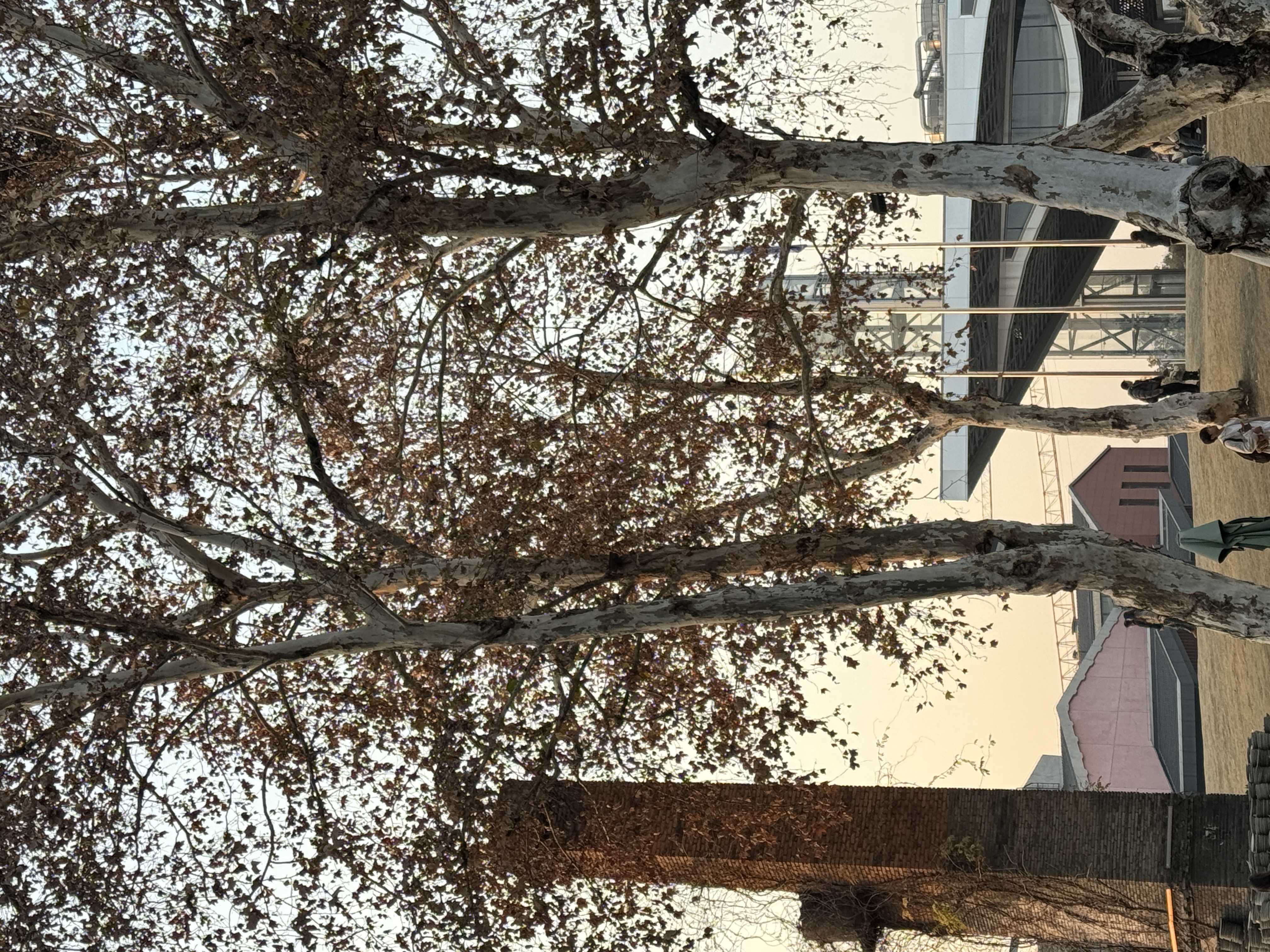 陶溪川文创街区丨中国景德镇-8