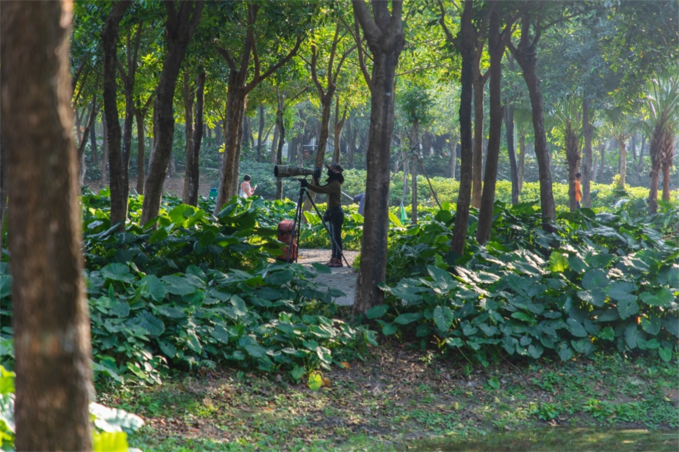 西安雁南公园（二期）丨中国西安丨土人设计（Turenscape）-223