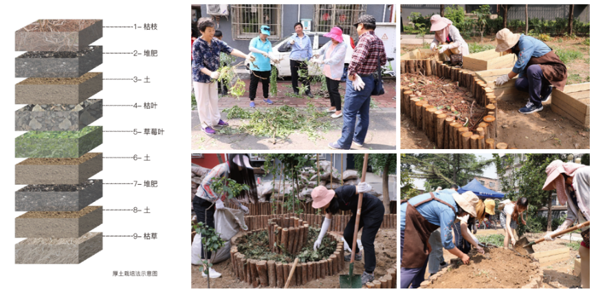 城市更新行动_生态篇|清河街道绿色更新实践-48