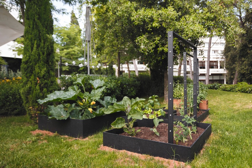 RevoLution Signature Restaurant 旋转厨房设计-47