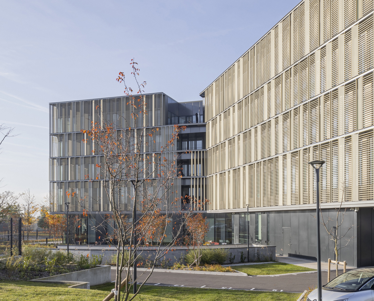 兰斯大学总部丨法国丨Ameller Dubois-21