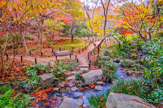 名古屋市东山动植物园之植物园丨日本爱知-13