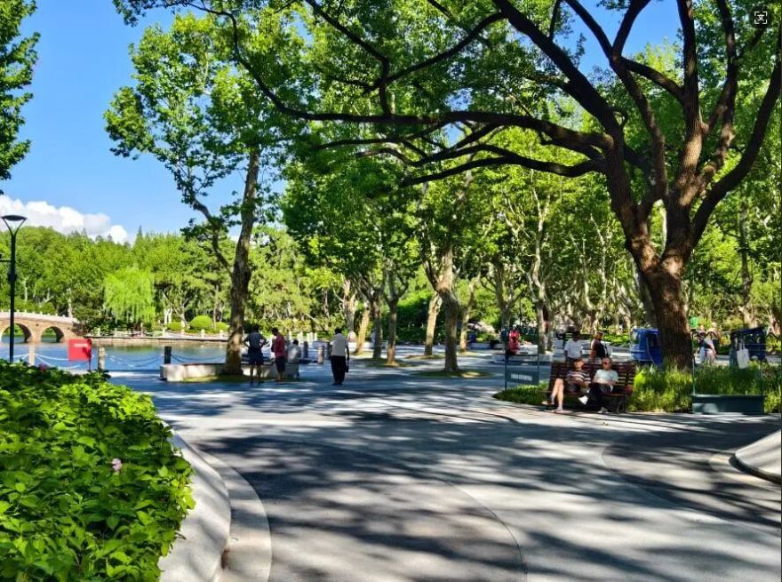 中国园林·理事专栏|“拓”之力量:杨浦公园改造纪实(三)-16