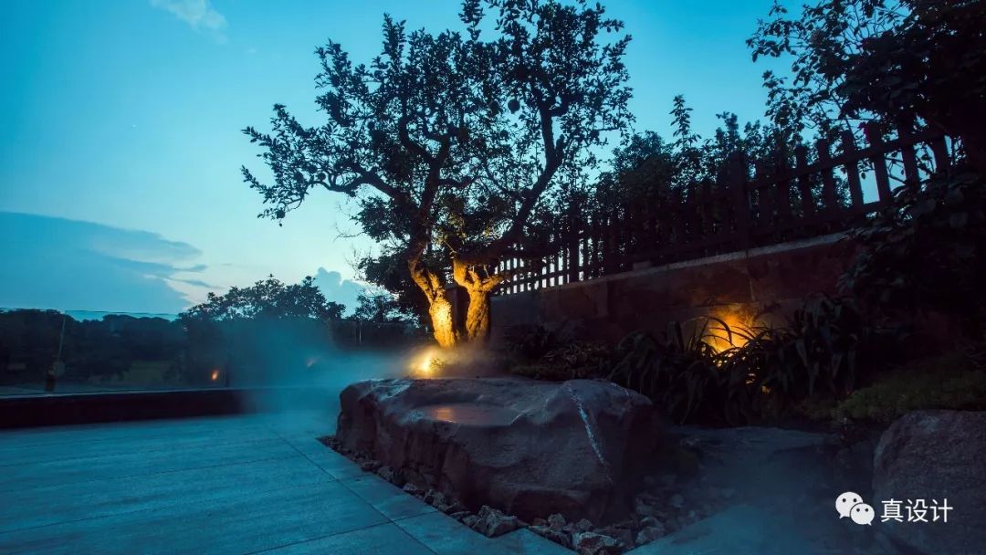 隐于市的百年个性花园——真味花园-67