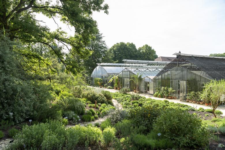 弗德布吕格林的梅里安花园丨瑞士丨Fontana Landschaftsarchitektur-2