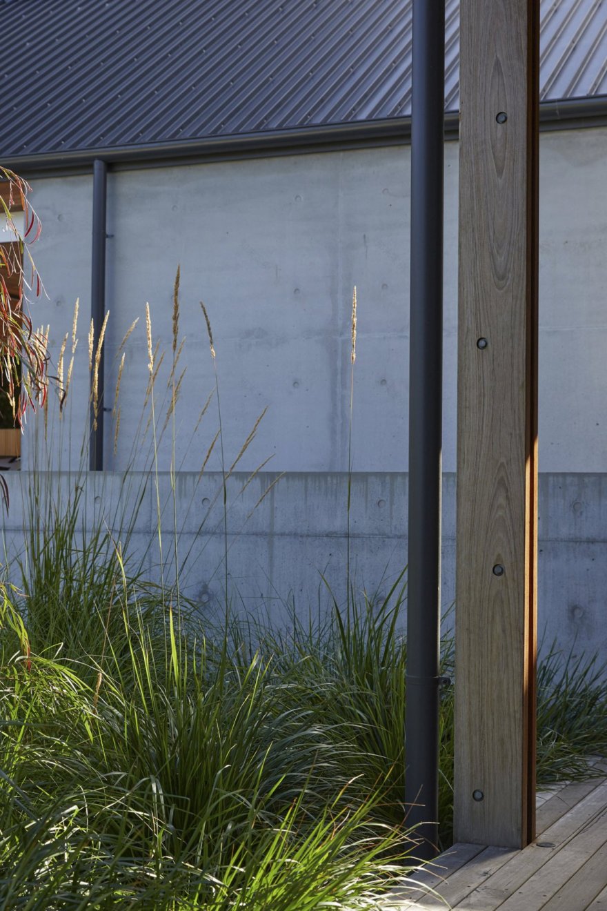 Honeysuckle 住宅丨Planned Living Architect-15