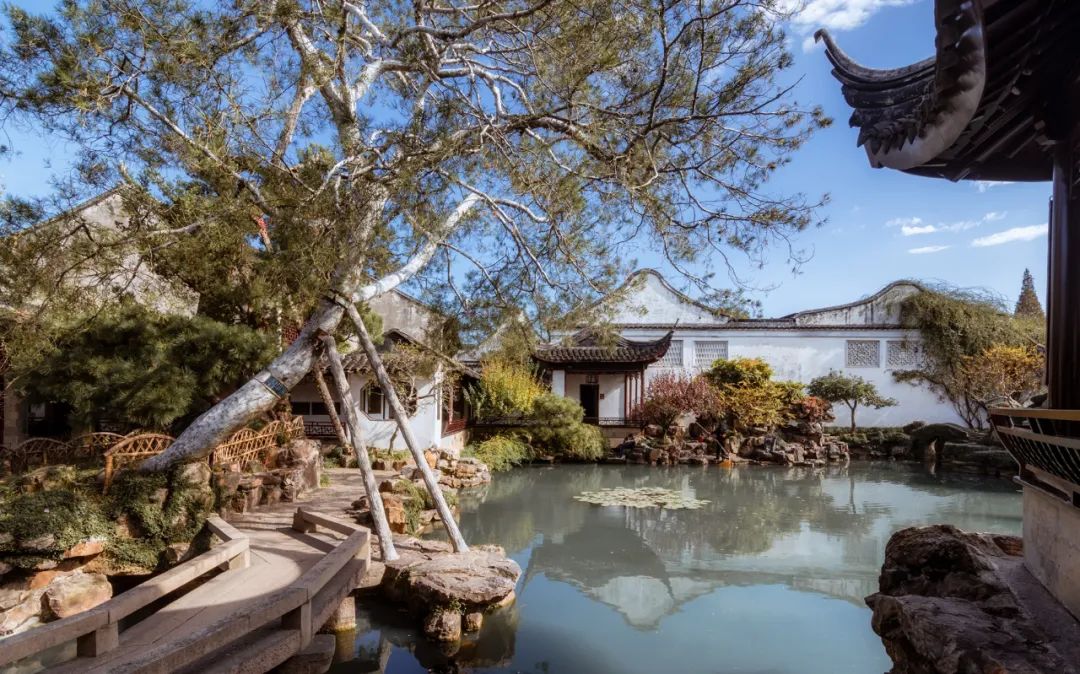 园林曲径通幽之美 | 留园与拙政园的曲径设计-39