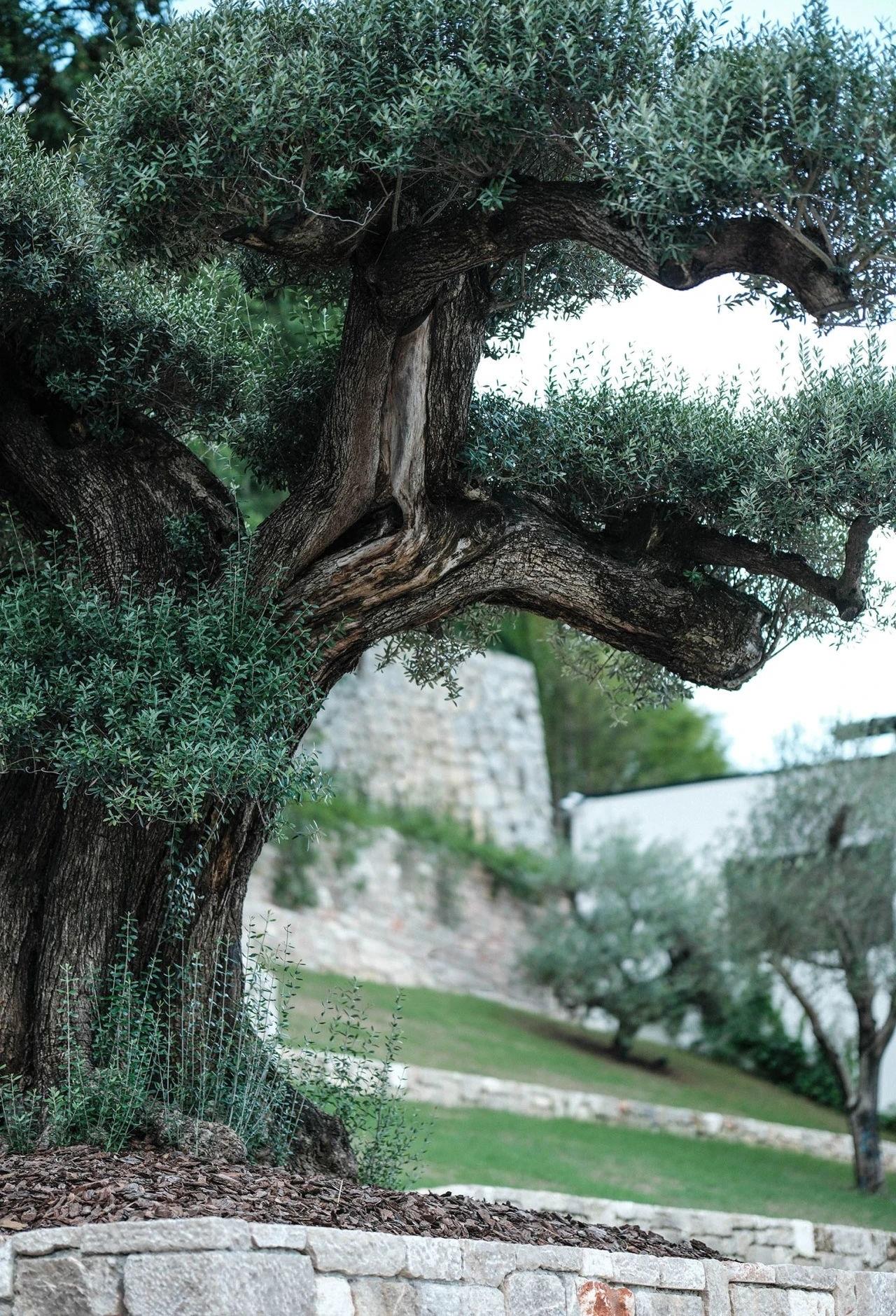 第六季度假庄园丨中国黄山丨S+P空间的诗学设计事务所-14