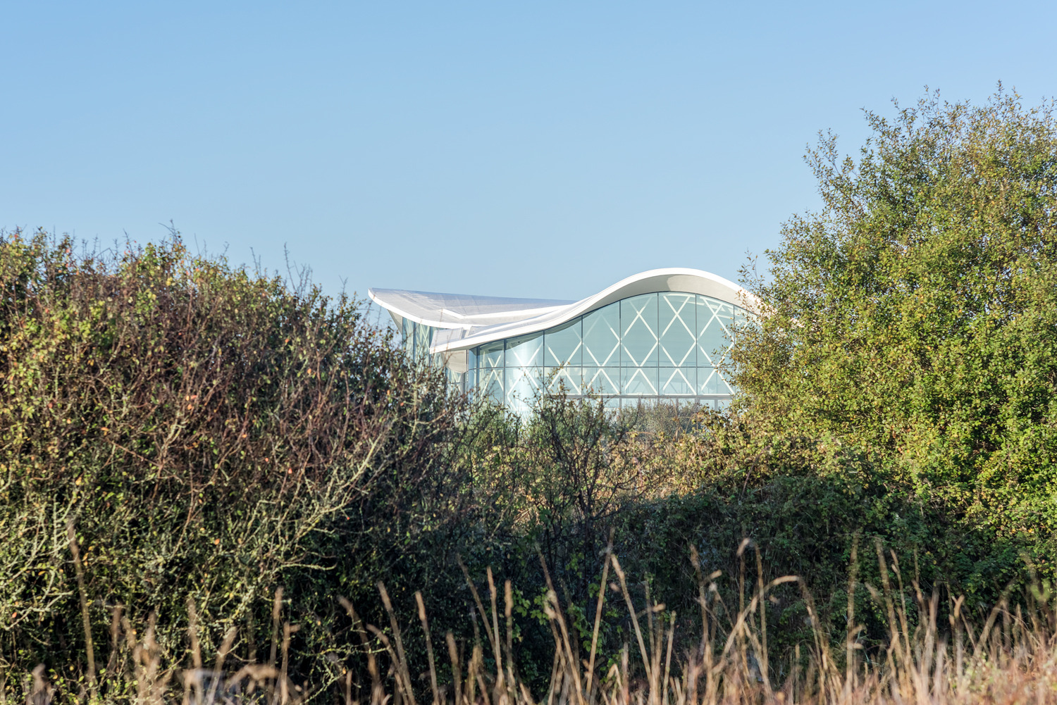 体育馆丨MultiplexeAquatique-26